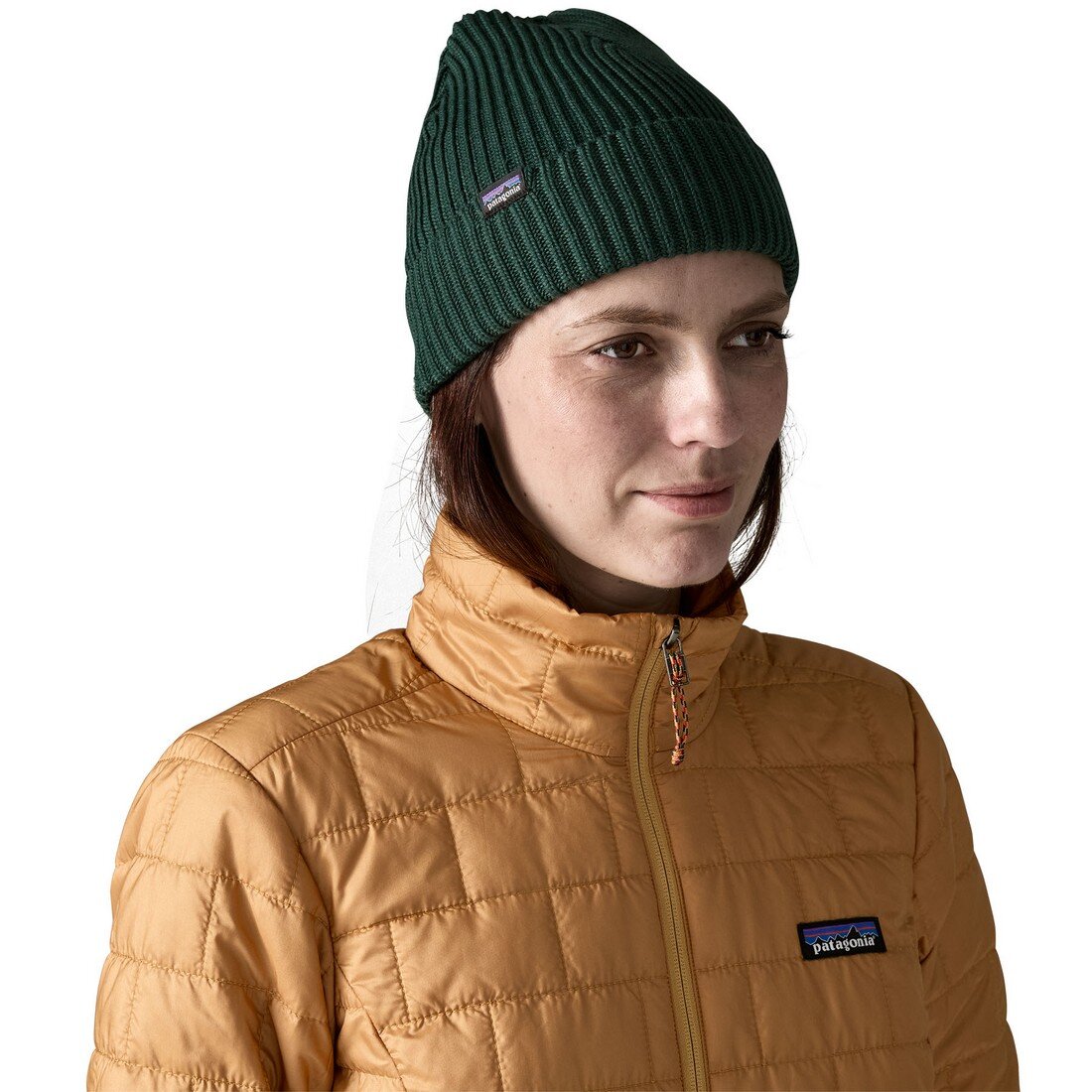 Patagonia Fishermans Rolled Beanie Cascade Green