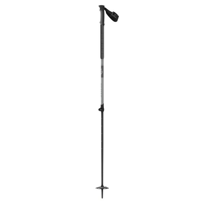 Scott Pole Aluguide grey