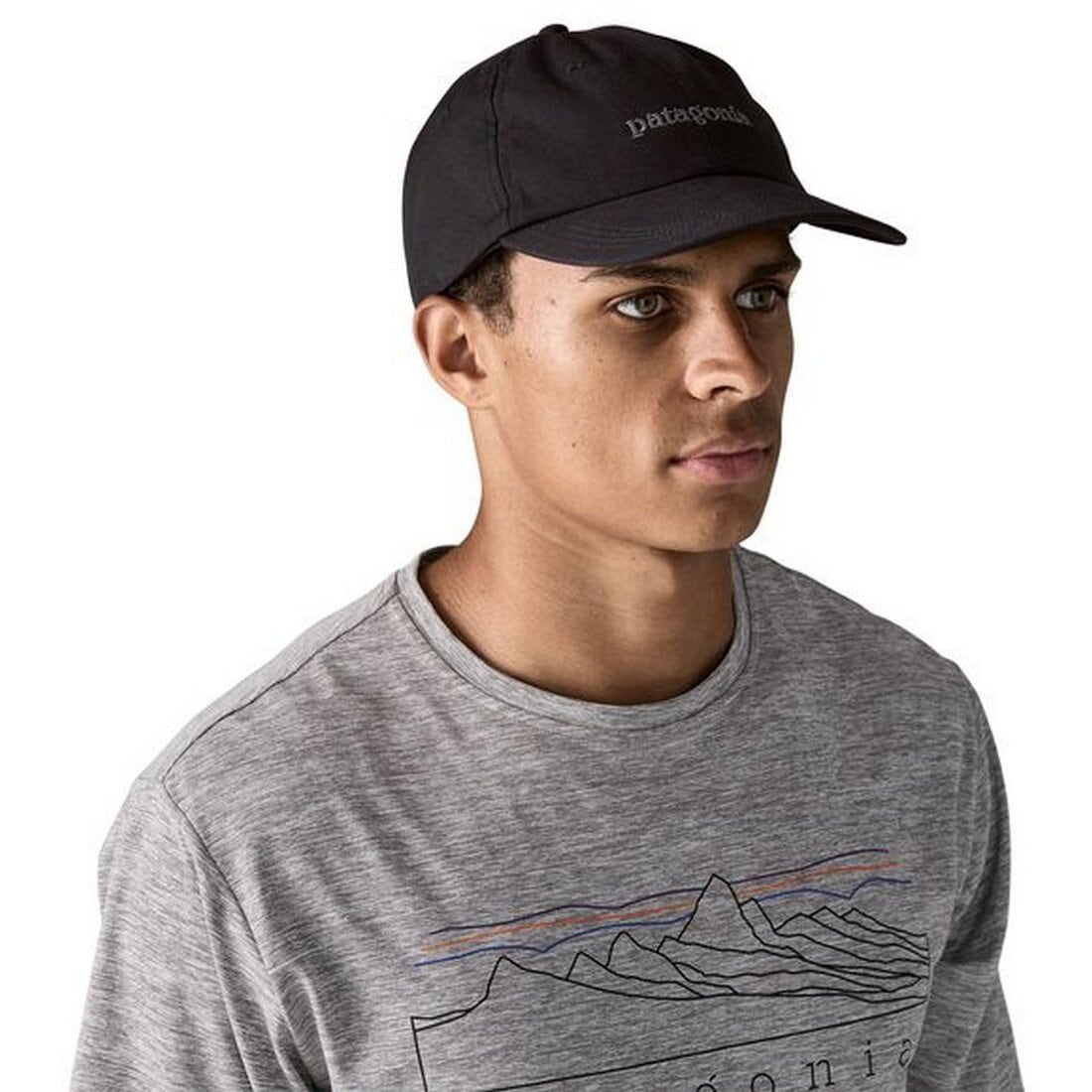 Patagonia Fitz Roy Icon Trad Cap Ink Black